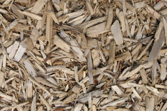 biomass boilers Churston Ferrers