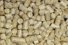 Churston Ferrers biomass boiler costs