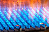 Churston Ferrers gas fired boilers